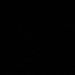 Meet your Posher, Kendall